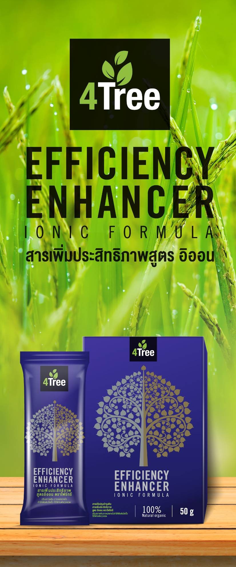 สารเพิ่มประสิทธิภาพ 4  Tree