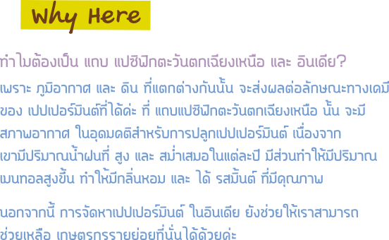น้ำมันหอมระเหย เปปเปอร์มินต์ Why Here แหล่งที่มา แปซิฟิกตะวันตกเฉียงเหนือ และ อินเดีย