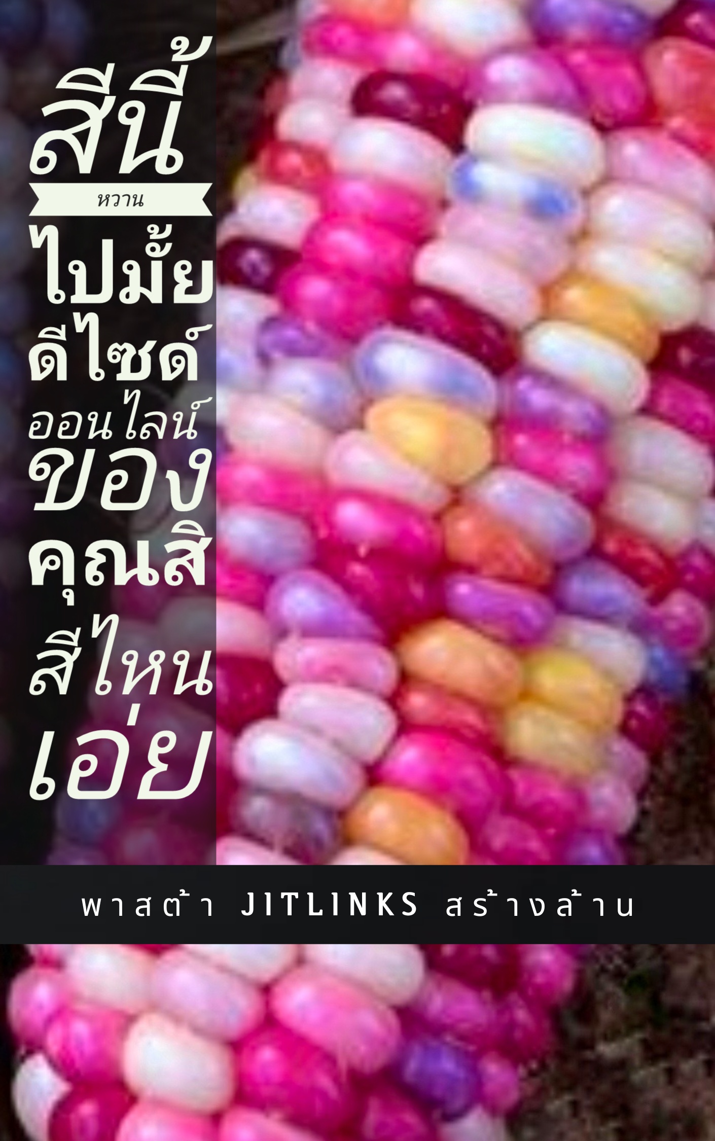 Jitlinks มินิเวปไซต์ เพื่อคนออนไลน์