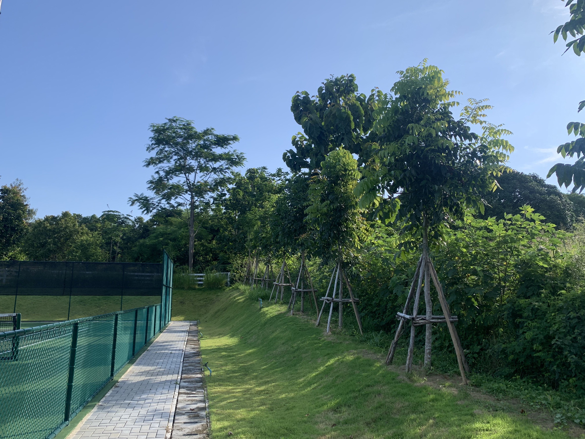 พญาเย็น