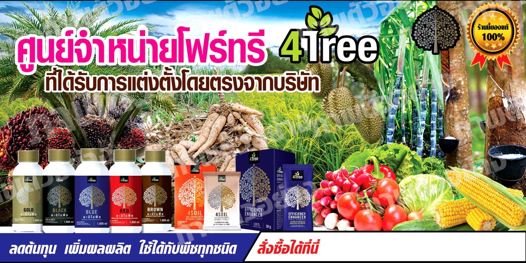 สารเพิ่มประสิทธิภาพ 4  Tree
