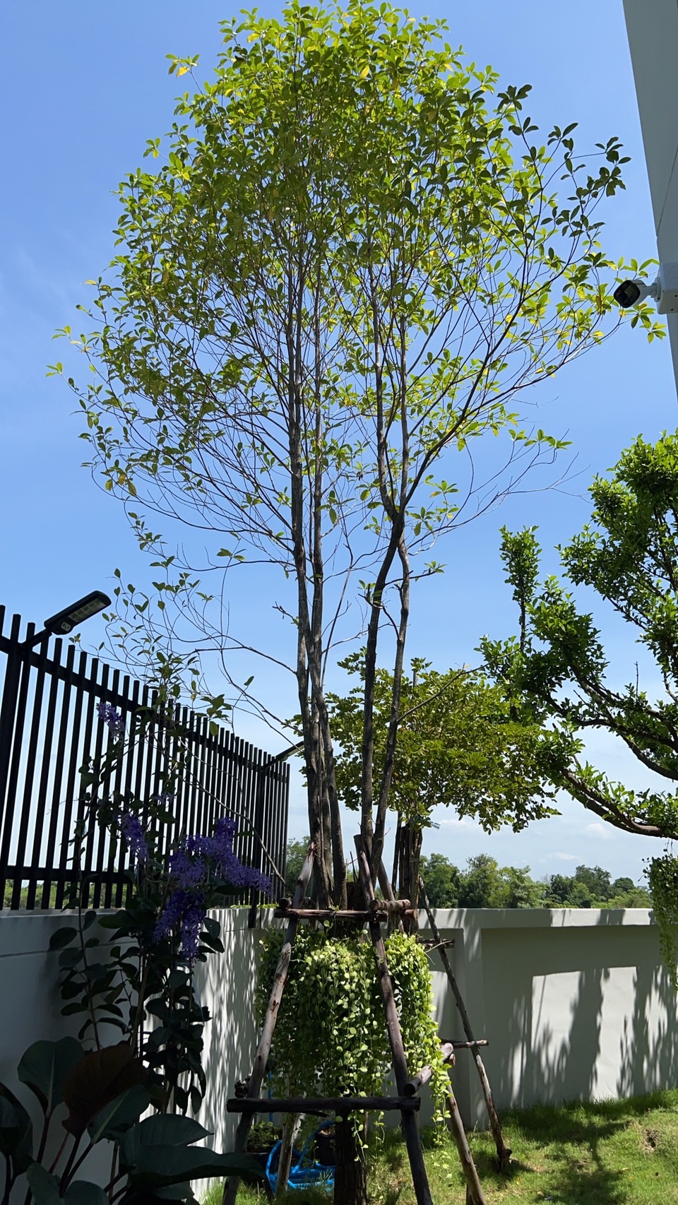 สระบุรี